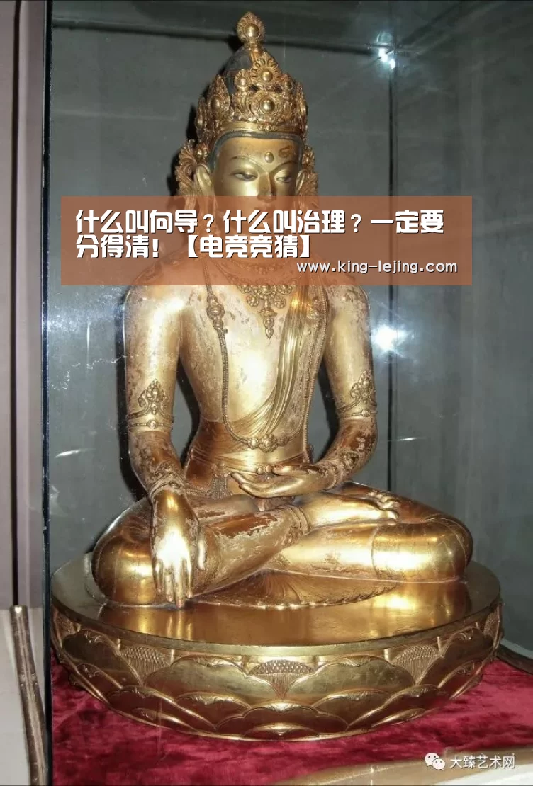什么叫向导?什么叫治理?一定要分得清!【电竞竞猜】(图1) 乐竟体育官方