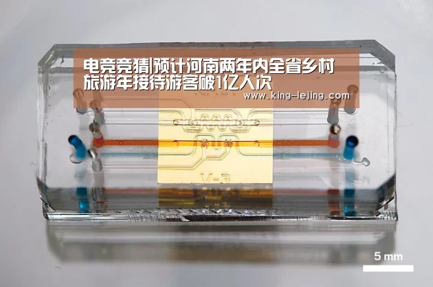 英雄联盟赔率